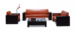 BZ Leather Sofa