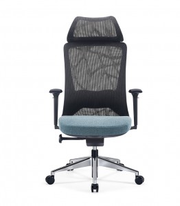 DANQI Office Chairs