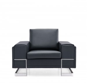 FZ Leather Sofa
