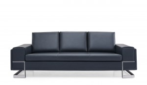 FZ Leather Sofa
